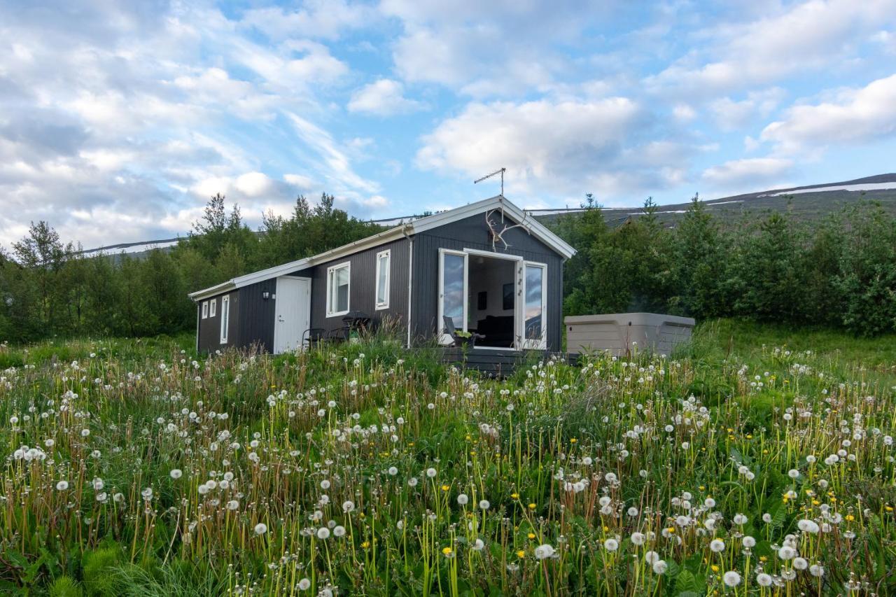 Viking Cottages & Apartments آكيورِيْري المظهر الخارجي الصورة